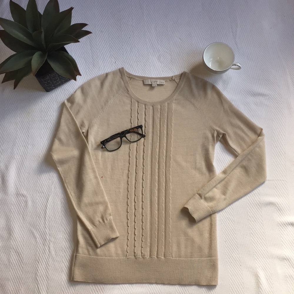 Ann Taylor LOFT Crew Neck Sweater